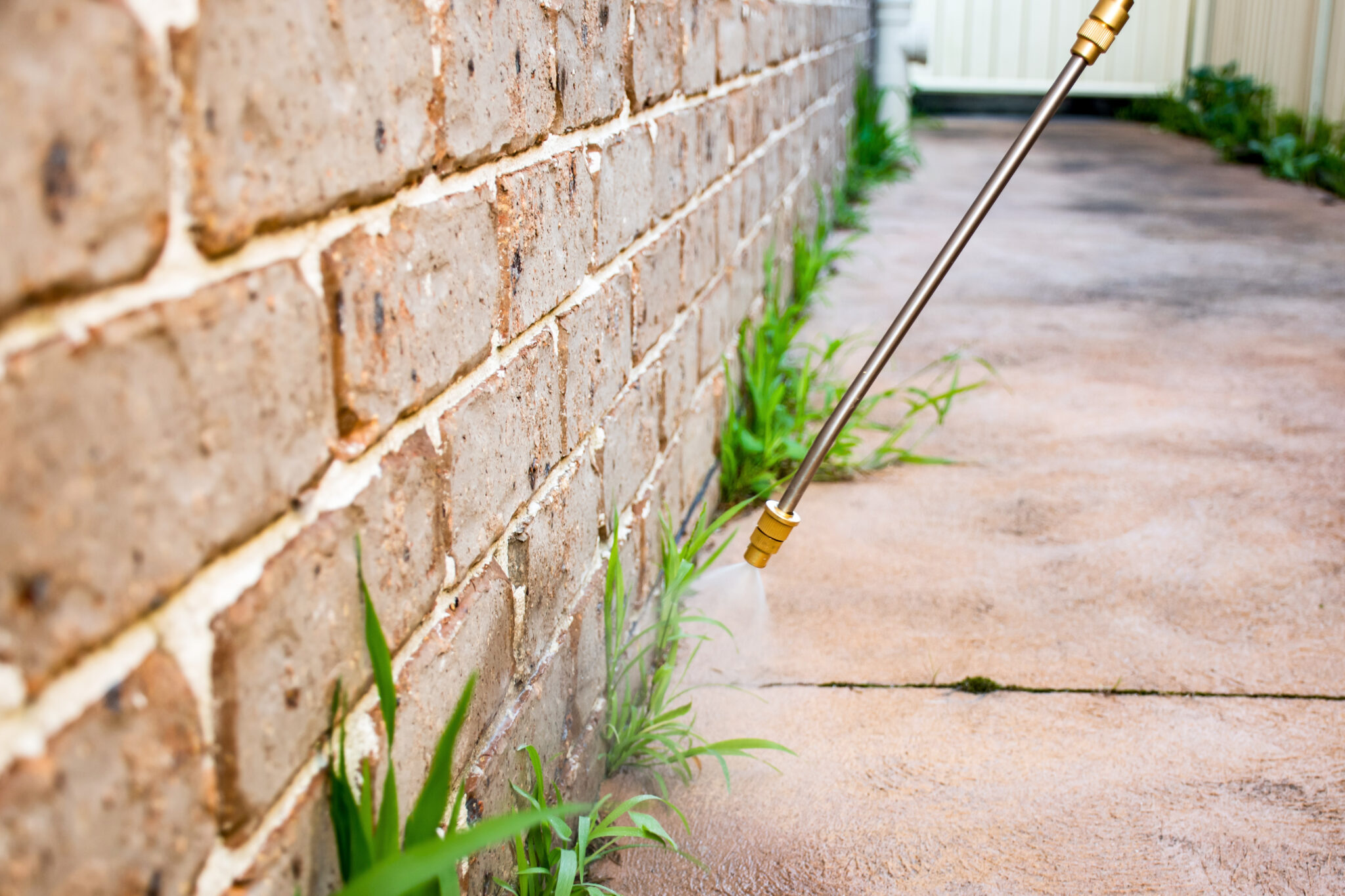 Spraying weed killer herbicide to control unwanted plants and grass on a backyard. Building exterior Neighborhood Fire Ants Control