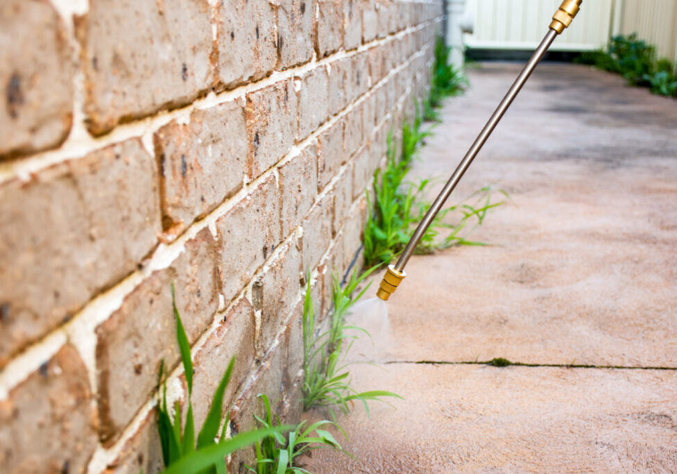 Neighborhood Fire Ants Control